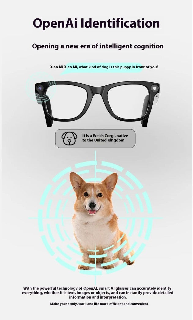 AI Smart HD Camera Glasses